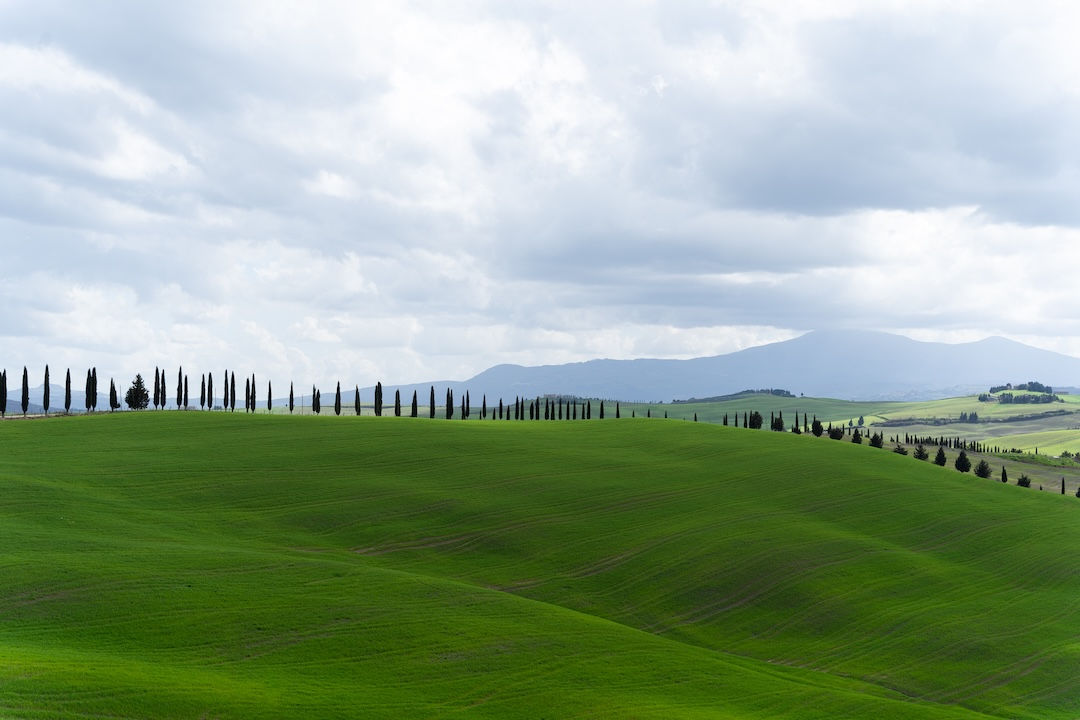 “The Garden of Italy”• Tuscany, Italy. Val D’Orcia shot with Tamron 28-200mm F/2.8 - 5.6 at ISO 100, 1/500 sec, f/5, 61mm.