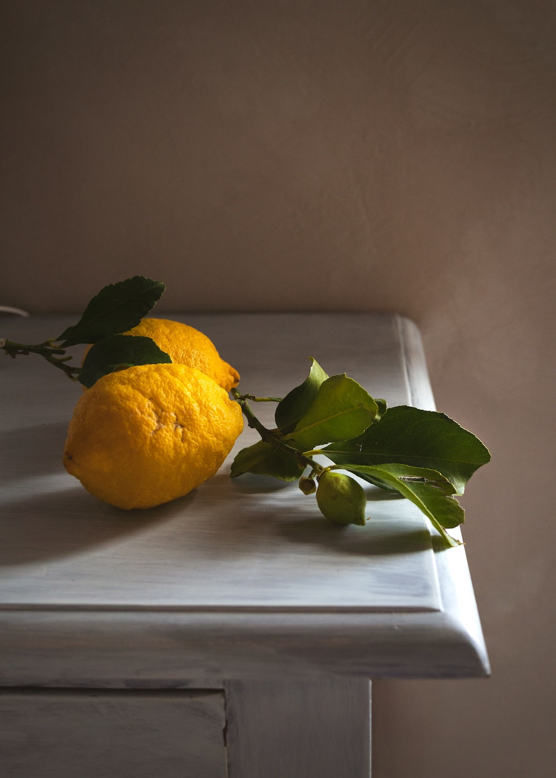 “When life gives you Italian lemons” - Tuscany, Italy. Shot with Tamron 28-200mm. ISO 400, 1/100 sec, f/5, 39mm
