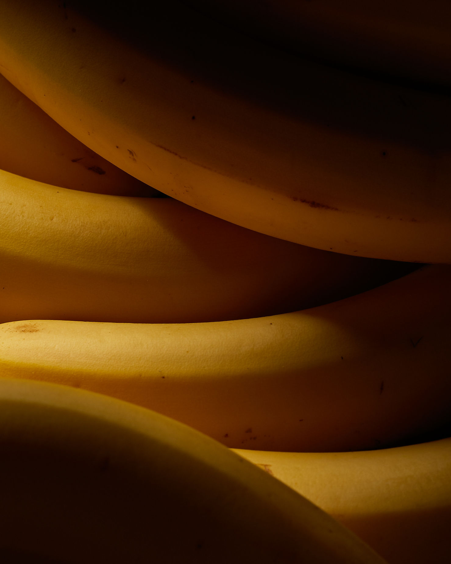 ‘Fruit’ d’Adam Borman photographié vec l’objectif Tamron 70-200mm à 200mm avec une ouverture f/11-16.