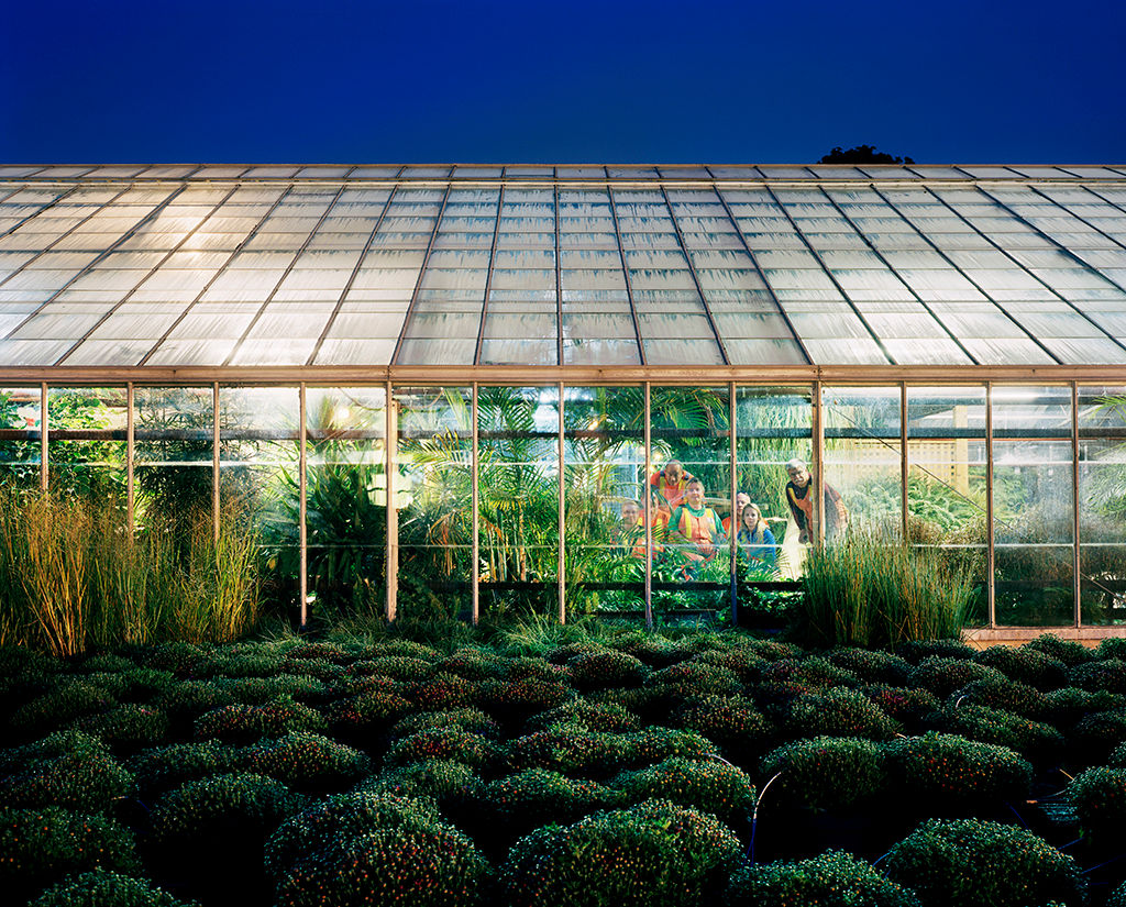 Stephen Brookbank, Greenhouse, Gage Park, Hamilton, Ontario